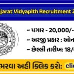 Gujarat Vidyapith Recruitment 2024