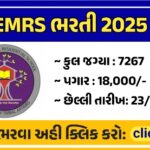EMRS RECRUITMENT 2025