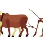 PM Kisan 21th Installment 2025: Latest Update, Payment Date, and Beneficiary Status